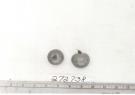 Click for 4 image(s) for this accession. FRUIT